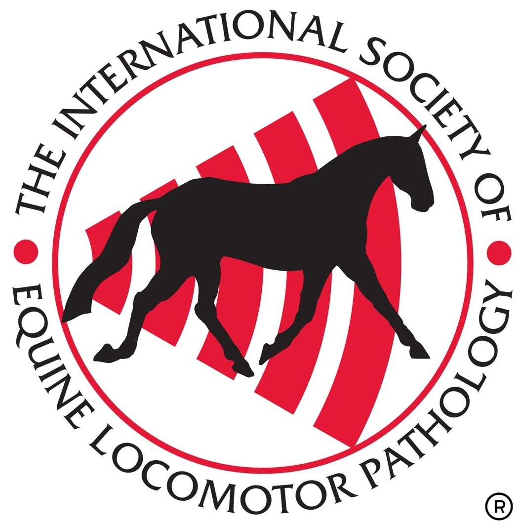 The Proximal Forelimb & Neck Connection 2025 Live Stream Module
