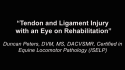 thumbnail for Tendon and Ligament Injury with an Eye on Rehabilitation - Duncan Peters