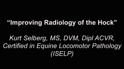thumbnail for Improving Radiology of the Hock - Kurt Selberg