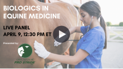 thumbnail for Owl Manor-Biologics In Equine Medicine